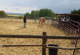 Ranch of the roses – équicoaching