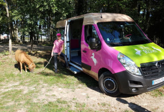 Ranch of the roses – équicoaching