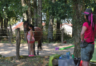 Ranch of the roses – équicoaching