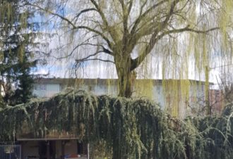 Maison – La bergerie