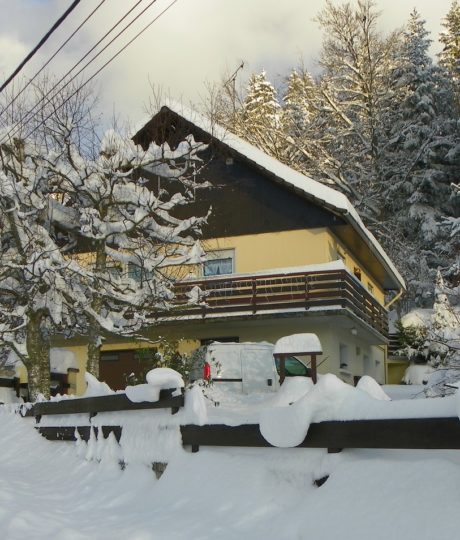 Meublé les Sapins – Mme Gay-Thevenin