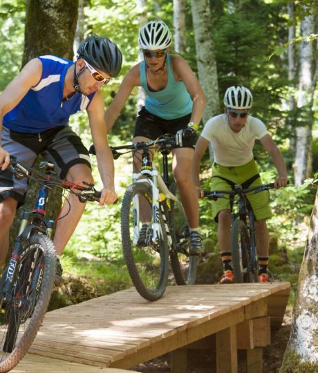 Bike Park de Longchaumois