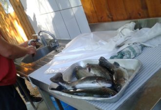 Pisciculture Les Truites des Rivières