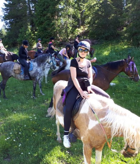 Ferme équestre de la Pelaisse