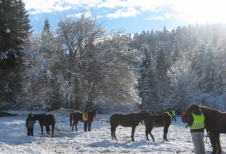 Ferme équestre de la Pelaisse