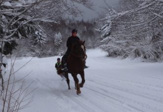 Ski Joëring et activités équestres pour tous – Ferme équestre de la Pelaisse