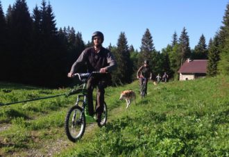 Free sled – Chiens de traîneaux / cani-rando et cani-trotinette