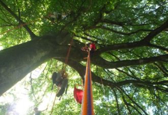 Terres et Cimes – grimpe d&rsquo;arbres & animations nature