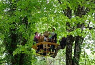 Terres et Cimes – grimpe d&rsquo;arbres & animations nature