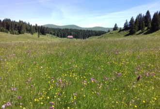 Lucas Humbert – Accompagnateur en Montagne