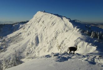 Lucas Humbert – Accompagnateur en Montagne