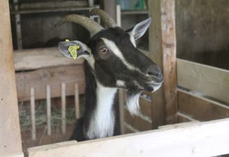 Ferme de La Tuilerie