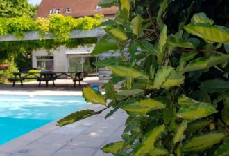 De Passage Chez Lili