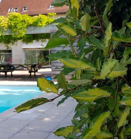 De Passage Chez Lili