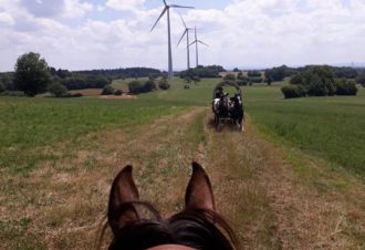 Les attelages du gaec de l&rsquo;espoir