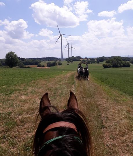 Les attelages du gaec de l&rsquo;espoir