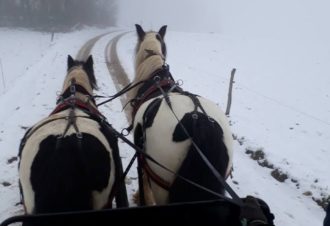 Les attelages du gaec de l&rsquo;espoir