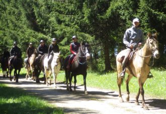 Ferme équestre élevage Juan