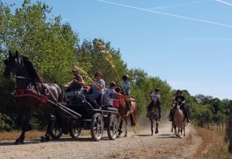 Ferme équestre élevage Juan