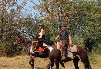 Ferme équestre élevage Juan