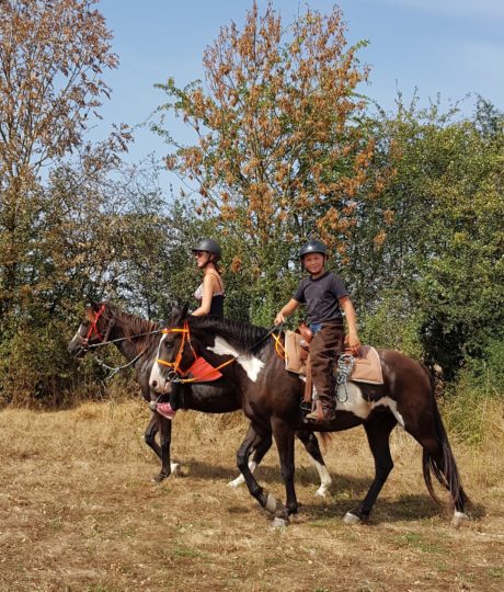 Ferme équestre élevage Juan