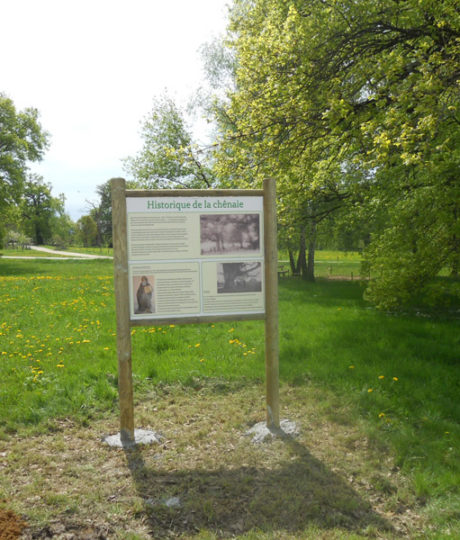 Chênaie d’Oussières