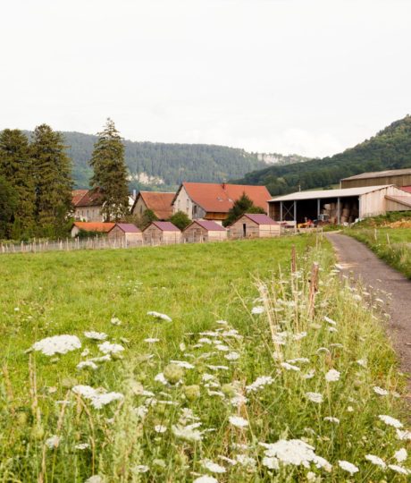 La Ferme des Mélincols
