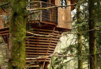 Cabane La Fauconnière