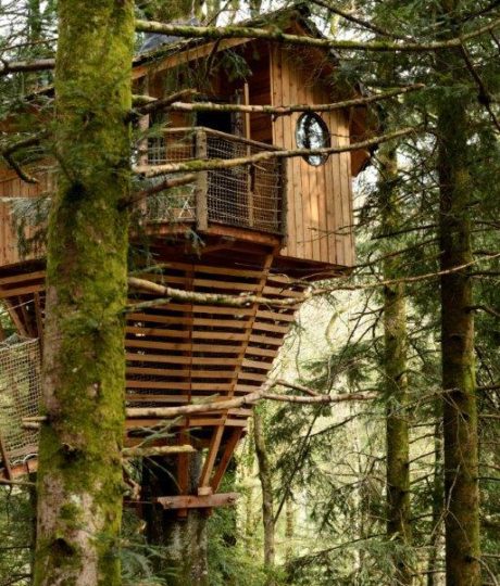 Cabane La Fauconnière