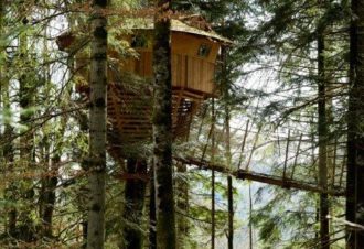 Cabane La Fauconnière