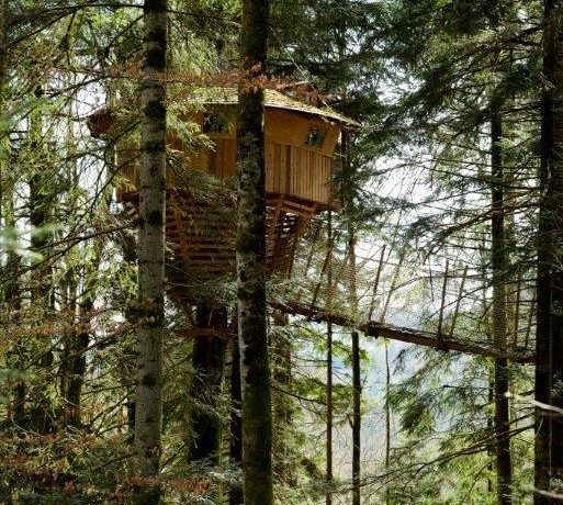 CABANE PERCHÉE – LA FAUCONNIÈRE_5