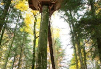 Cabane La Fauconnière