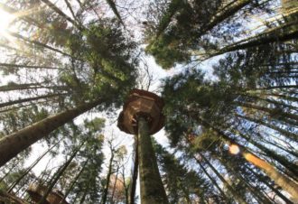 Cabane La Fauconnière