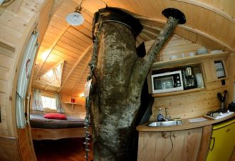 Cabane La Fauconnière