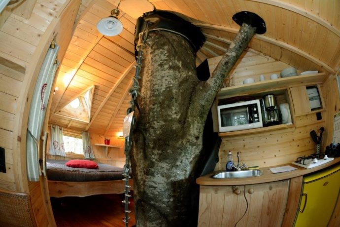 CABANE PERCHÉE – LA FAUCONNIÈRE_2