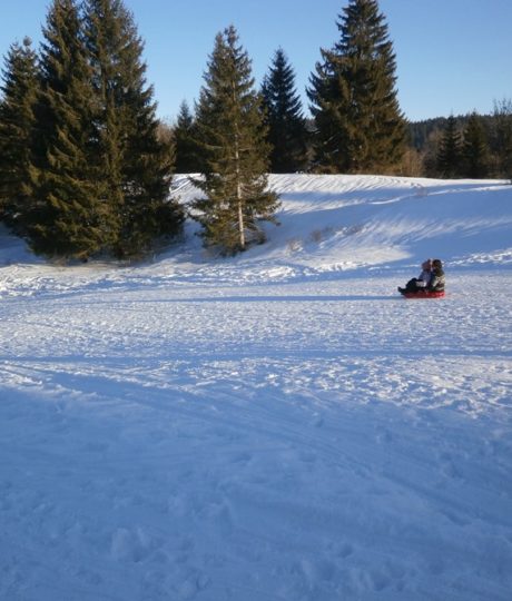 Piste de luge à Saint-Laurent en Grandvaux