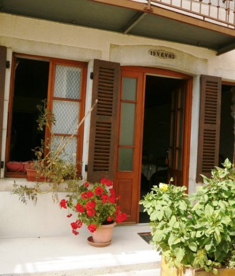 Pétunias – B Vincent