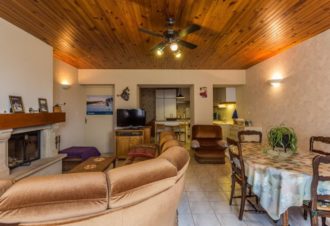 Pétunias – B Vincent