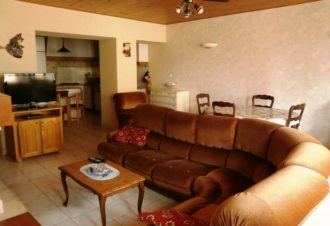 Pétunias – B Vincent