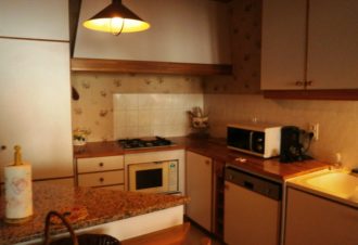 Pétunias – B Vincent