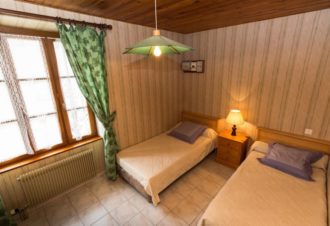 Pétunias – B Vincent