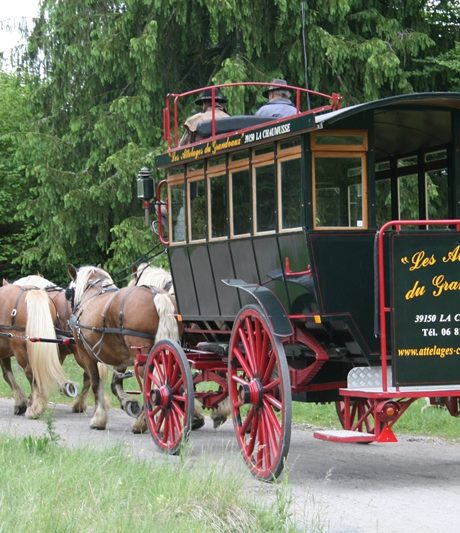 Les Attelages du Grandvaux
