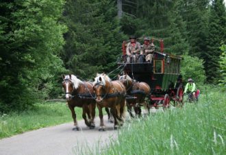 Les Attelages du Grandvaux