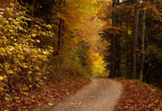 Sentier l’homme et la forêt