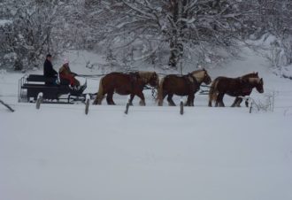 Les Attelages du Grandvaux en hiver