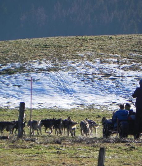 Kart – Terre et Neige