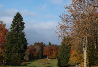 Parcours d&rsquo;Orientation