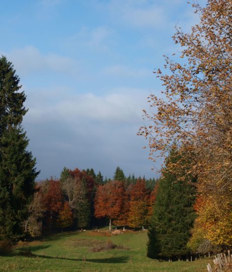 Parcours d&rsquo;Orientation