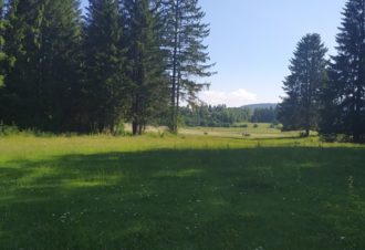 Parcours d&rsquo;Orientation