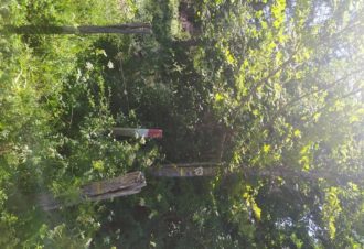 Parcours d&rsquo;Orientation